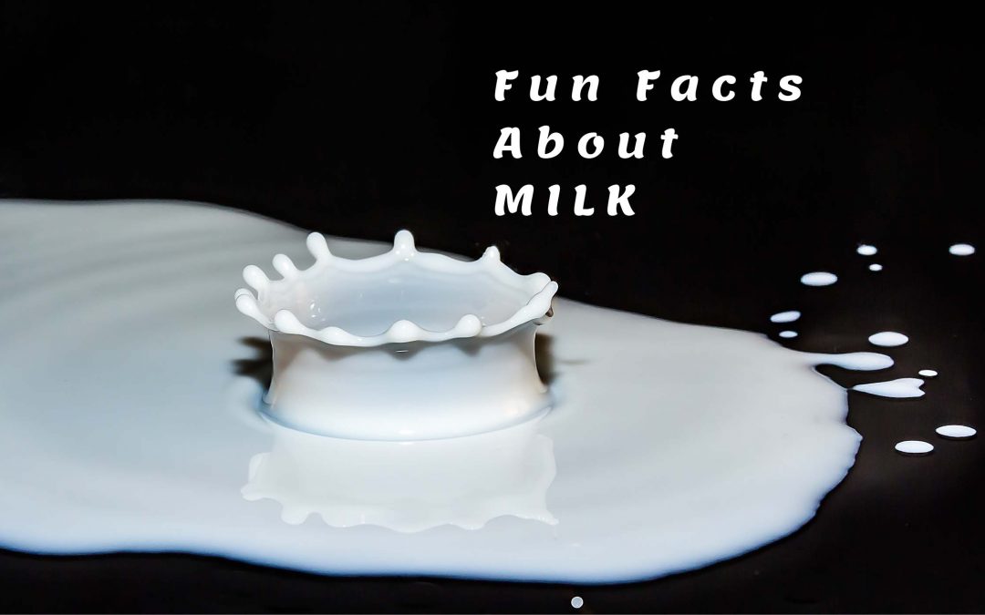 fun facts about milk