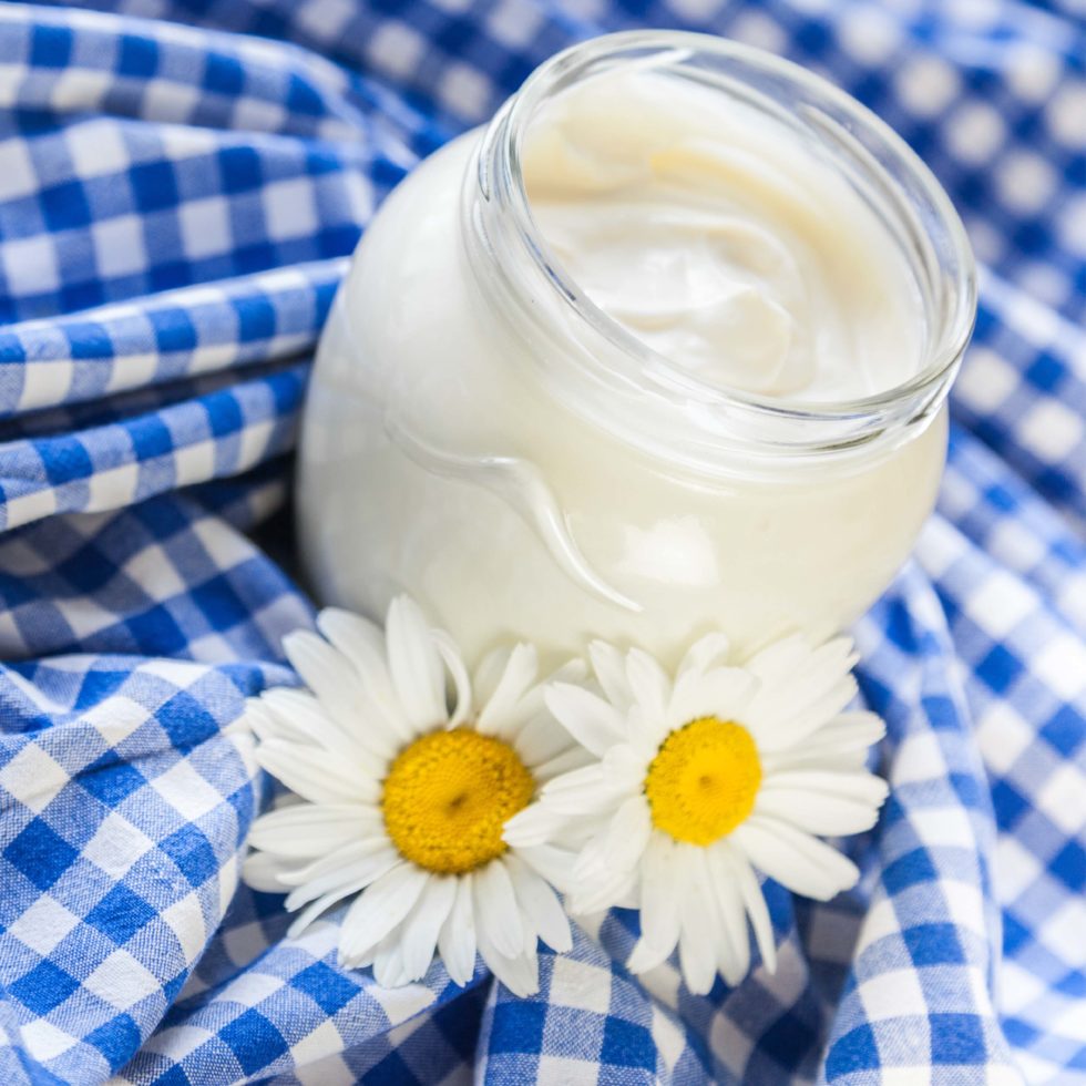 home made yogurt